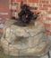 rock bird bath (2)_th